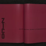 Zico.9